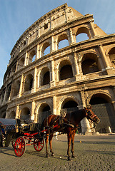 Image showing colosseum and horse