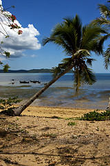 Image showing  madagascar boat palm lagoon and coastline