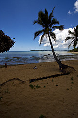 Image showing  boat palm lagoon and coastline