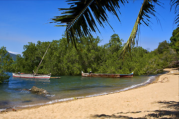 Image showing nosy be  rock stone branch boat palm lagoon and coastline