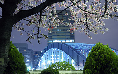 Image showing Tokyo spring
