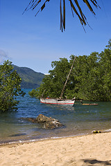 Image showing  madagascar nosy be rock stone branch boat palm lagoon 