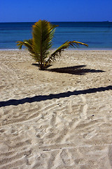 Image showing nosy be madagascar beach