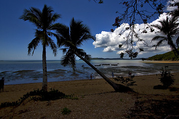 Image showing nosy be boat palm lagoon and coastline