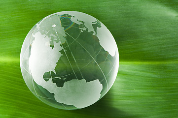 Image showing Glass globe on green leaf