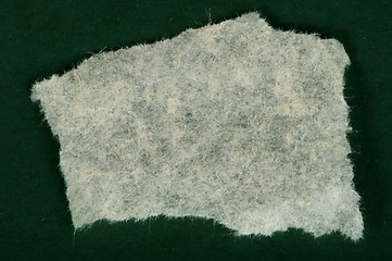 Image showing White torn paper