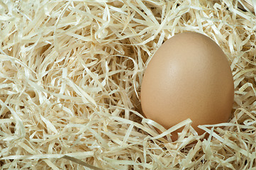 Image showing Raw eggs in straw