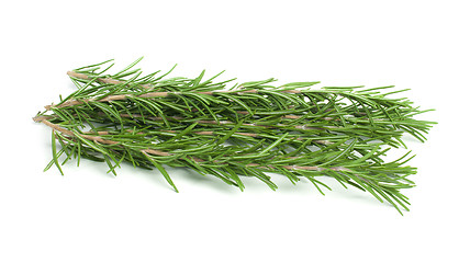 Image showing Sprigs fresh rosemary