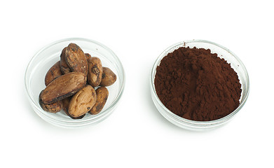 Image showing Cocoa beans and cocoa powder