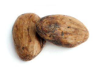 Image showing Cocoa beans