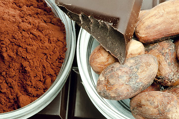 Image showing Cocoa beans, cocoa powder in bowls and chocolate bar