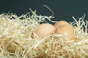 Image showing Raw eggs in straw