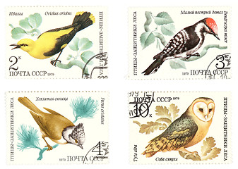 Image showing Antique Soviet post stamps with birds