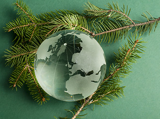 Image showing Glass globe on green fir branches