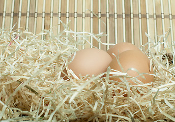 Image showing Raw eggs in straw