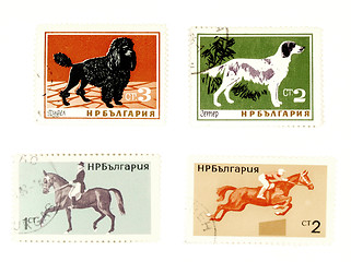 Image showing Old postage stamps with dogs and horses