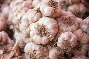 Image showing Fresh garlic 