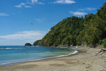 Image showing Tropical beach