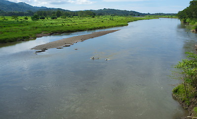 Image showing Tarcoles river