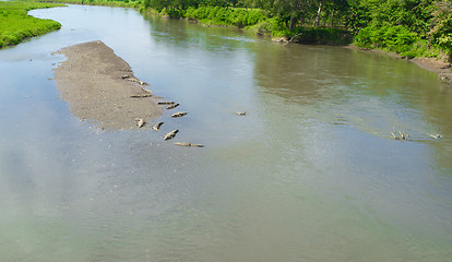 Image showing Tarcoles river