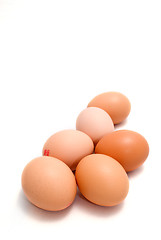 Image showing Brown eggs