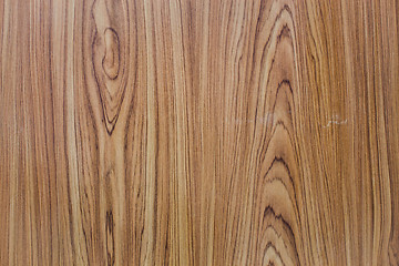 Image showing Old wood texture background with tree rings