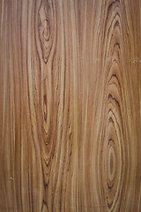 Image showing Old wood texture background with tree rings