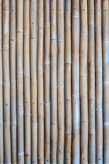 Image showing Natural bamboo texture concealed cement wall