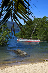 Image showing madagascar nosy be rock  branch boat palm lagoon and coastline