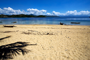 Image showing  nosy be rock stone branch boat palm lagoon  madagascar