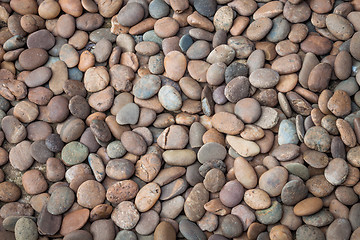 Image showing Multi colored of nature rock pebble