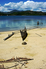 Image showing  nosy be boat palm  rock stone branch  lagoon and coastline