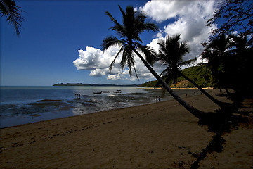 Image showing people boat palm lagoon  