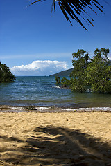 Image showing  rock stone branch boat palm lagoon and coastline