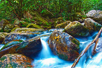 Image showing mountain streams