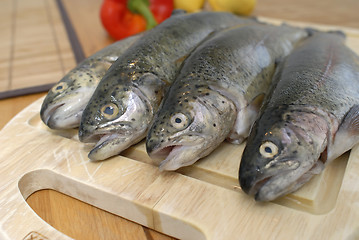 Image showing Fresh fishes