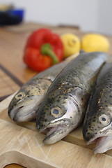 Image showing Fresh fishes