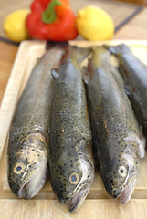 Image showing Fresh fishes