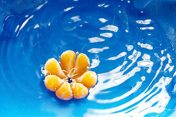 Image showing Orange mandarin