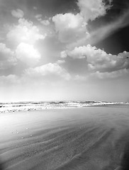 Image showing Monochrome summer beach