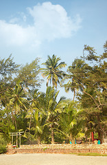 Image showing Palm resort