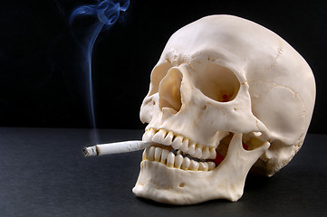 Image showing Smoker-Skull