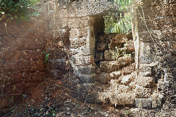 Image showing Old ruins in the jungle of India