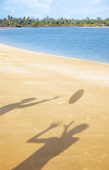 Image showing Play at the beach