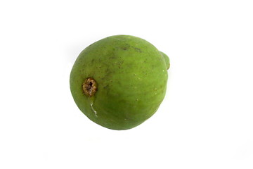 Image showing Green Fig