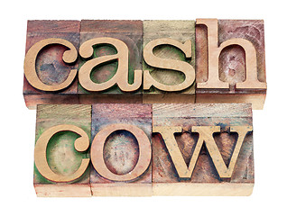 Image showing cash cow in wood type