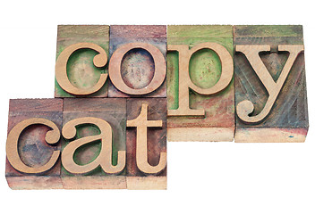 Image showing copycat word in wood type