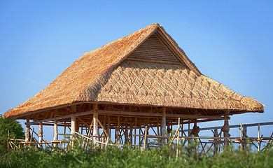 Image showing Bamboo roof under construction