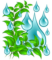 Image showing Green leaves with drops of water