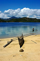 Image showing  boat palm  rock stone branch  lagoon and coastline